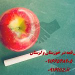 نگارش پایان نامه ارشد نگارش پایان نامه ارشد